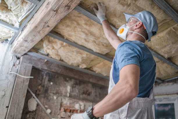 Best Insulation Inspection Services  in Miles City, MT